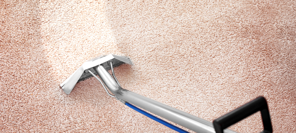Carpet Cleaning Services-Stayton Oregon