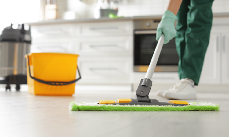 Residential Janitorial Services-Moonlight Maintenance