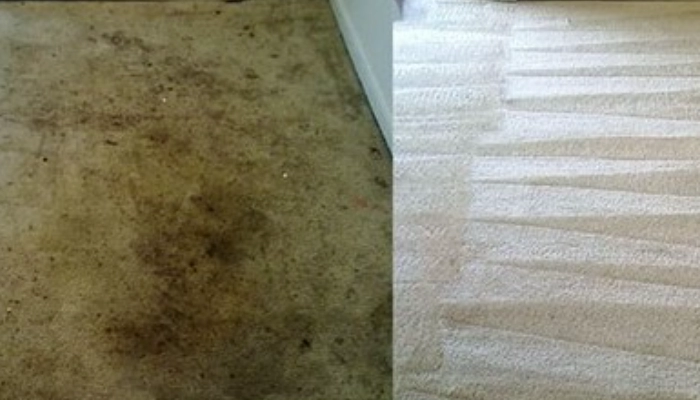 Professional carpet stain removal restores heavily soiled carpets in Stayton Oregon homes