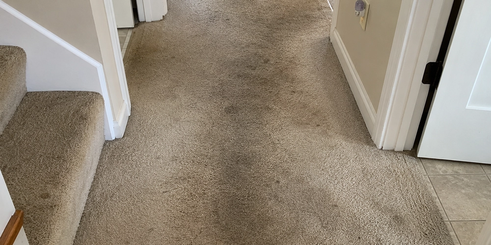 High traffic carpet cleaning in a Stayton OR Home