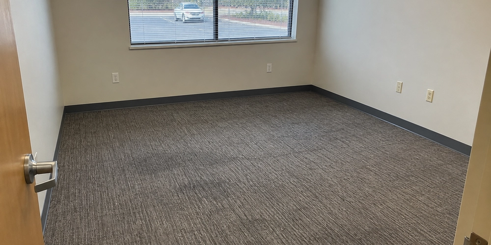 Move out carpet cleaning